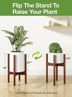 No. 8 - MUDEELA Plant Stand - 3