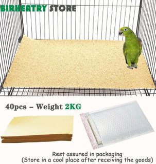 No. 8 - Birheatry Gravel Paper - 5