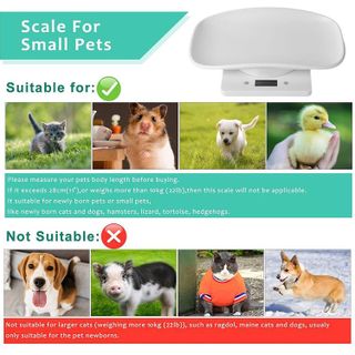 No. 8 - Digital Small Animals Scales for Weighing - 2