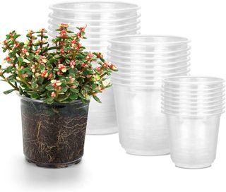 No. 6 - RAOOKIF 24 Pack 6/5/3.5 Inch Clear Nursery Pots - 1