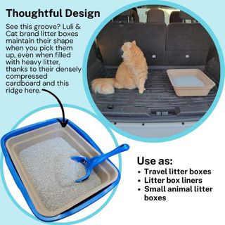 No. 2 - Luli & Cat Disposable Litter Boxes - 5