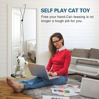 No. 2 - Hanging Cat Toy - 2