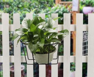 No. 2 - TQVAI Iron Rail Planters - 2