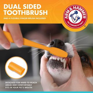 No. 4 - Arm & Hammer Fresh Breath Kit - 4