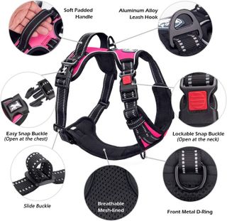 No. 8 - PoyPet No Pull Dog Harness - 3