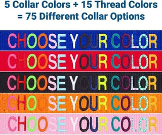 No. 10 - GoTags Personalized Breakaway Cat Collar - 5