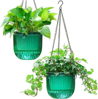 10 Best Hanging Planters for Elevating Your Space- 2