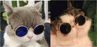 No. 7 - Artshu Pet Sunglasses - 5