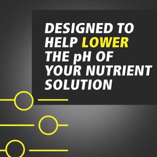 No. 2 - General Hydroponics pH Down Liquid Premium Buffering For Stability - 2