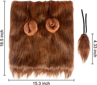 No. 10 - Lion Mane Dog Costume - 3