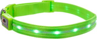 No. 10 - Blazin Light Up Dog Collars - 4