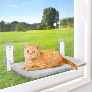 Top 10 Best Cat Window Perches for Ultimate Comfort and Entertainment- 5