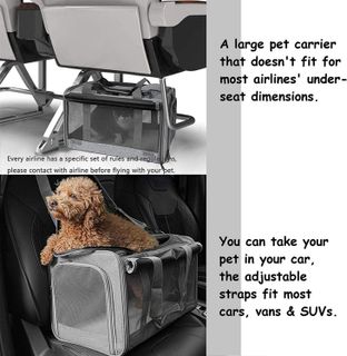 No. 3 - GAPZER Pet Carrier - 5