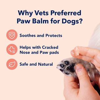 No. 9 - Vets Preferred Paw Pad Protection Balm - 2