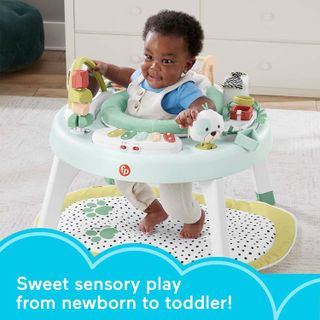 No. 10 - Fisher-Price 3-in-1 SnugaPuppy Activity Center - 2