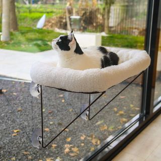 Top 10 Best Cat Window Perches for Ultimate Comfort and Entertainment- 2