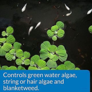 No. 1 - API POND ALGAEFIX Algae Control - 2