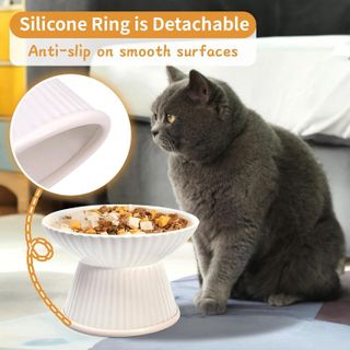 No. 4 - COMESOON 6.5" Extra Wide Ceramic Elevated Cat Bowl - 5