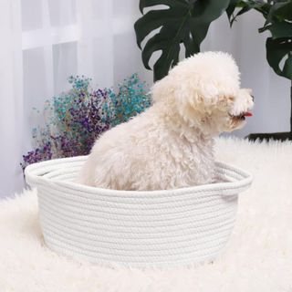 No. 1 - ABenkle Cute Small Woven Basket with Handles - 4