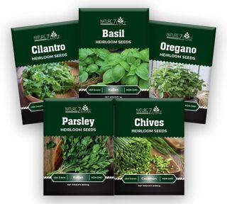 No. 6 - NatureZ Edge Herb Plants & Seeds - 1