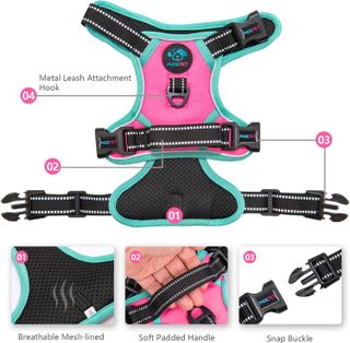 No. 10 - PHOEPET No Pull Dog Harness - 3