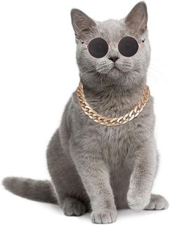 No. 5 - Molain Cat Sunglasses and Collar Necklace - 3