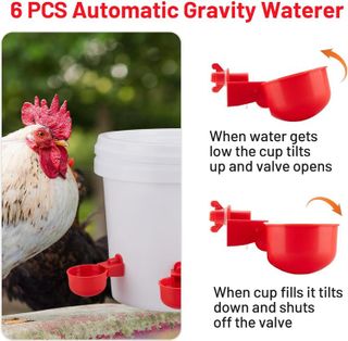 No. 10 - Sykria Chicken Water Cups and Chicken Feeder Set - 4