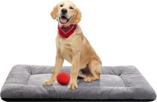 No. 9 - Dog Beds Crate Pad for Medium/Large Dogs - 1
