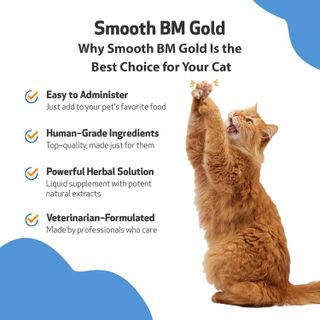 No. 8 - Pet Wellbeing Cat Herbal Supplement - 4