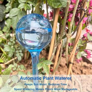 No. 4 - Plant Watering Globes - 2