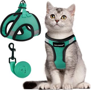 No. 3 - FAYOGOO Cat Harness and Leash Set - 1