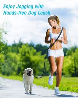 No. 10 - Oneisall Dog Hands Free Leash - 2