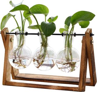 No. 1 - Wooden Stand Glass Planter Terrariums - 1