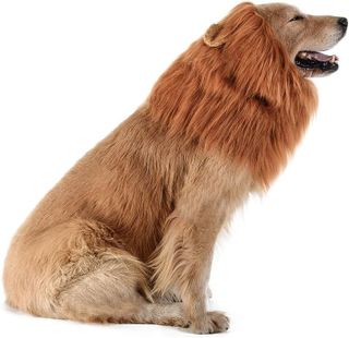 No. 1 - TOMSENN Dog Lion Mane Costume - 3