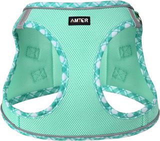 No. 9 - AMTOR Dog Harness with Leash Set - 2