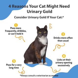 No. 9 - Pet Wellbeing Urinary Gold - 2