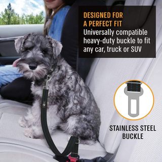 No. 6 - Active Pets Dog Car Harness - 4