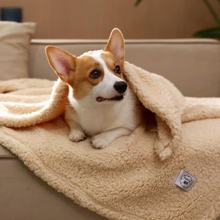 No. 2 - 3 Calming Blankets Fluffy Premium Fleece Pet Blanket - 2