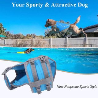 No. 3 - VIVAGLORY Life Jacket for Dogs - Sports Style Water Vest Jacket - 2