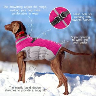 No. 6 - FUAMEY Dog Cold Weather Coat - 4