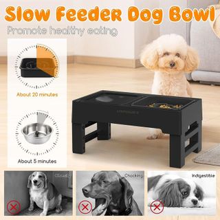No. 9 - URPOWER 2-in-1 Elevated Slow Feeder Dog Bowls - 4