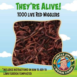 No. 5 - Uncle Jim's Worm Farm Red Wiggler Live Composting Worms Mix - 2