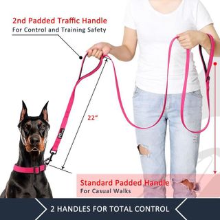 No. 7 - Double Handle Dog Leash - 2