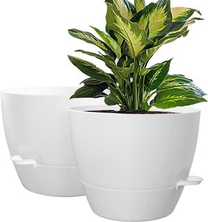Top 10 Best Garden Pots for Your Indoor and Outdoor Plants- 4