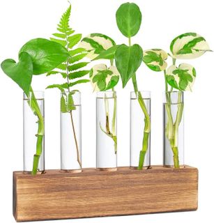 No. 8 - Plant Propagation Station - 1