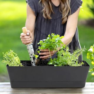 No. 7 - GREANER Window Boxes Planters - 5