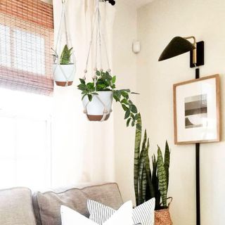 No. 10 - Bouqlife Hanging Planters with Macrame Plant Hangers - 5