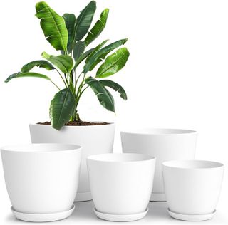 Top 10 Best Garden Pots for Your Indoor and Outdoor Plants- 2