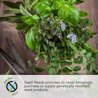 No. 3 - Seed Needs, Culinary Herb Collection - 3