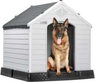 Top 10 Best Dog Houses for Your Furry Friend- 2